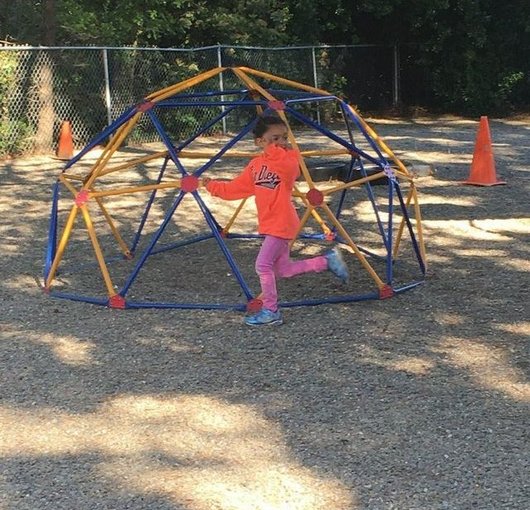 School-age child climbing the dome in the backyard